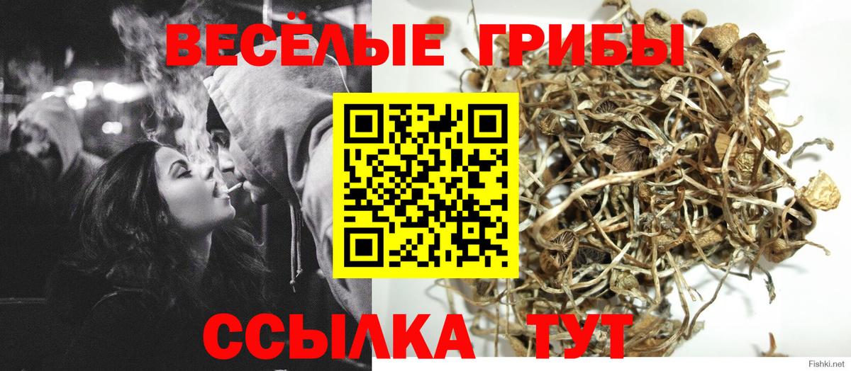 Кашира  Псилоцибиновые грибы мухоморы  Вход с VPN  Псилоцибиновые грибы Magic Shrooms 